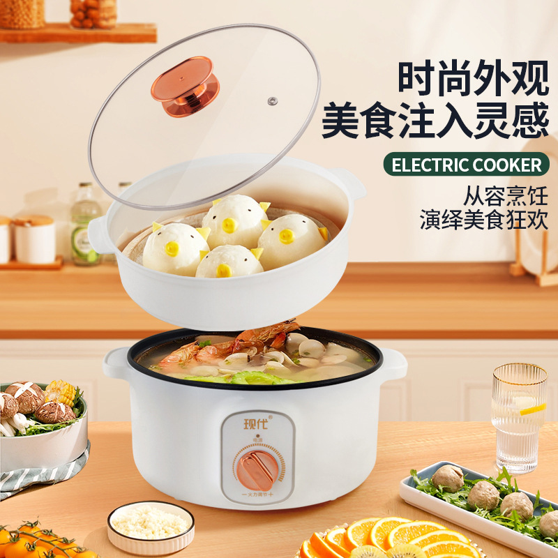 قدر كهربائي صغير متعدد الوظائف - مراجعة Home Cooking Appliances وسعره