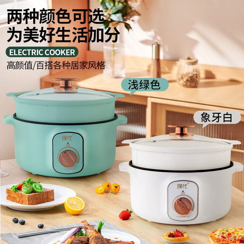 قدر كهربائي صغير متعدد الوظائف - مراجعة Home Cooking Appliances وسعره